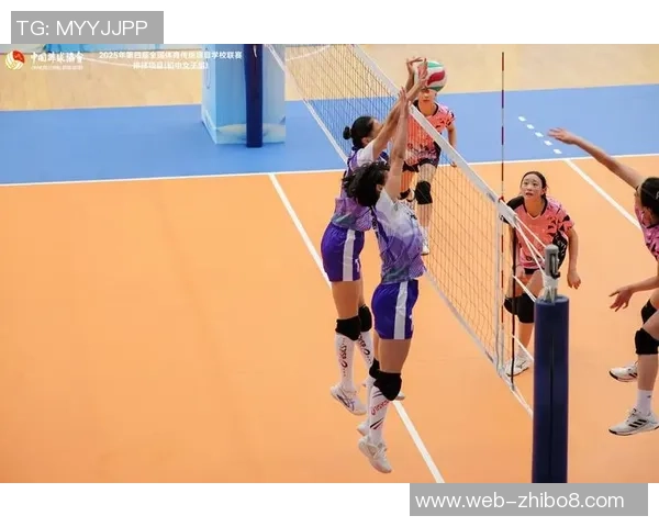 对话赵芳：回顾排球生涯中的荣耀与挑战以及对未来的展望